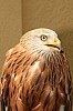 bild 01 - (c) g schorge.jpg
